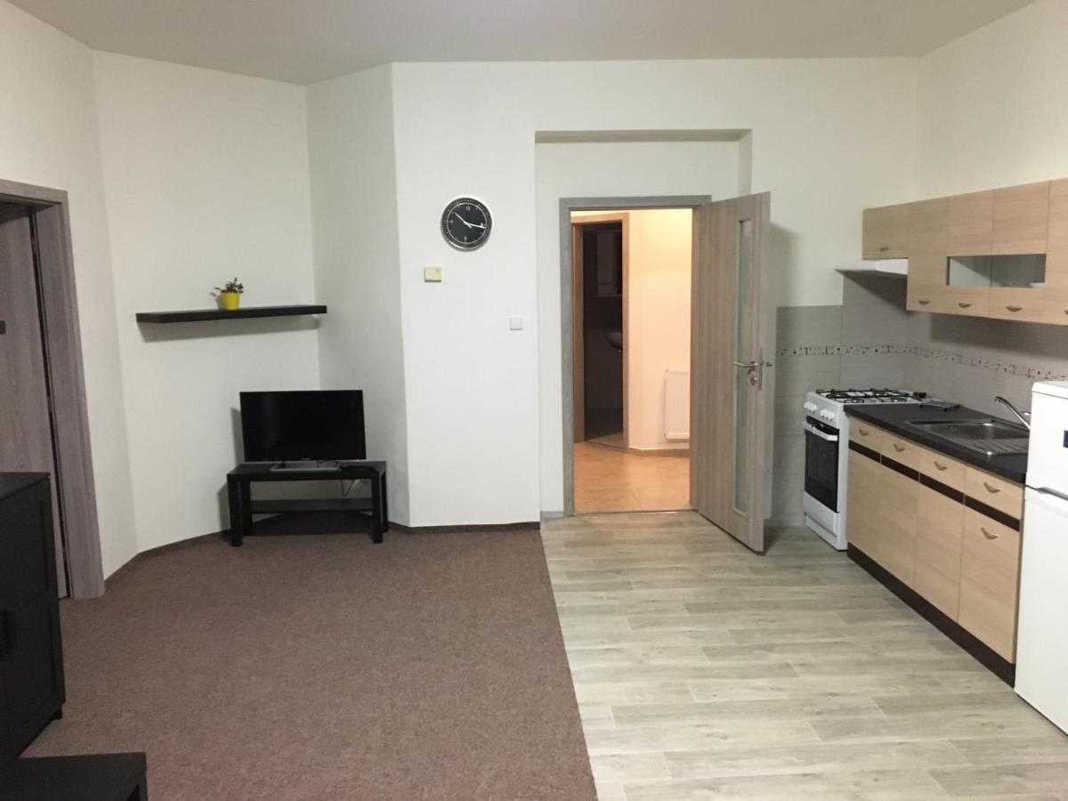 Apartmany U Muzea Decin Luaran gambar