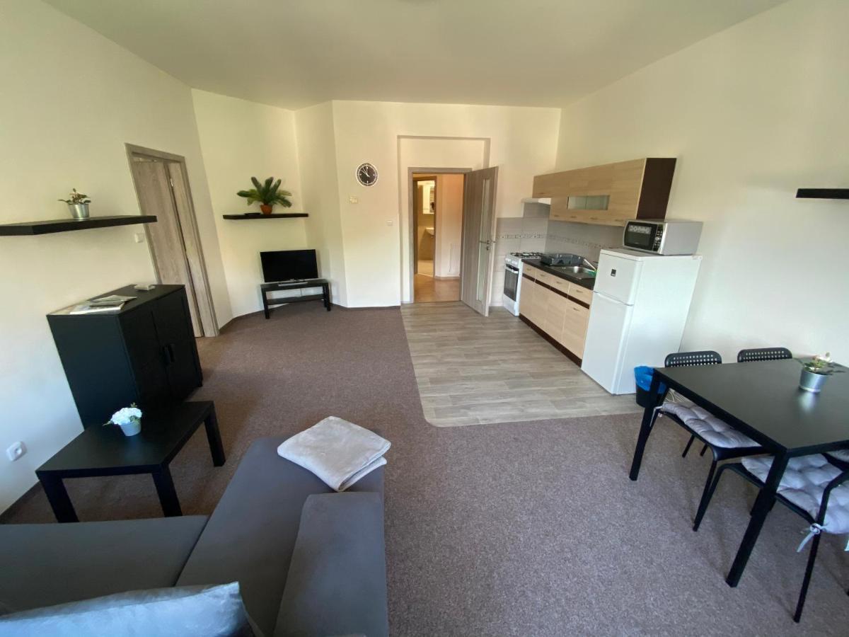 Apartmany U Muzea Decin Luaran gambar